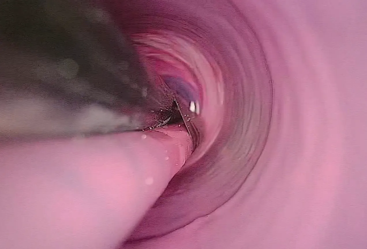 Nodig ProLight Machine - View 2